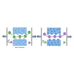 Bipolaire elektrodialyse